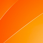 General information regarding students’ assignments: abstract as well as its types