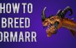 War Dragons - How to Breed Ormarr!【Play Games】