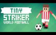 Tiny striker world champion #1| I HIT HIM IN THE NUTS【Play Games】